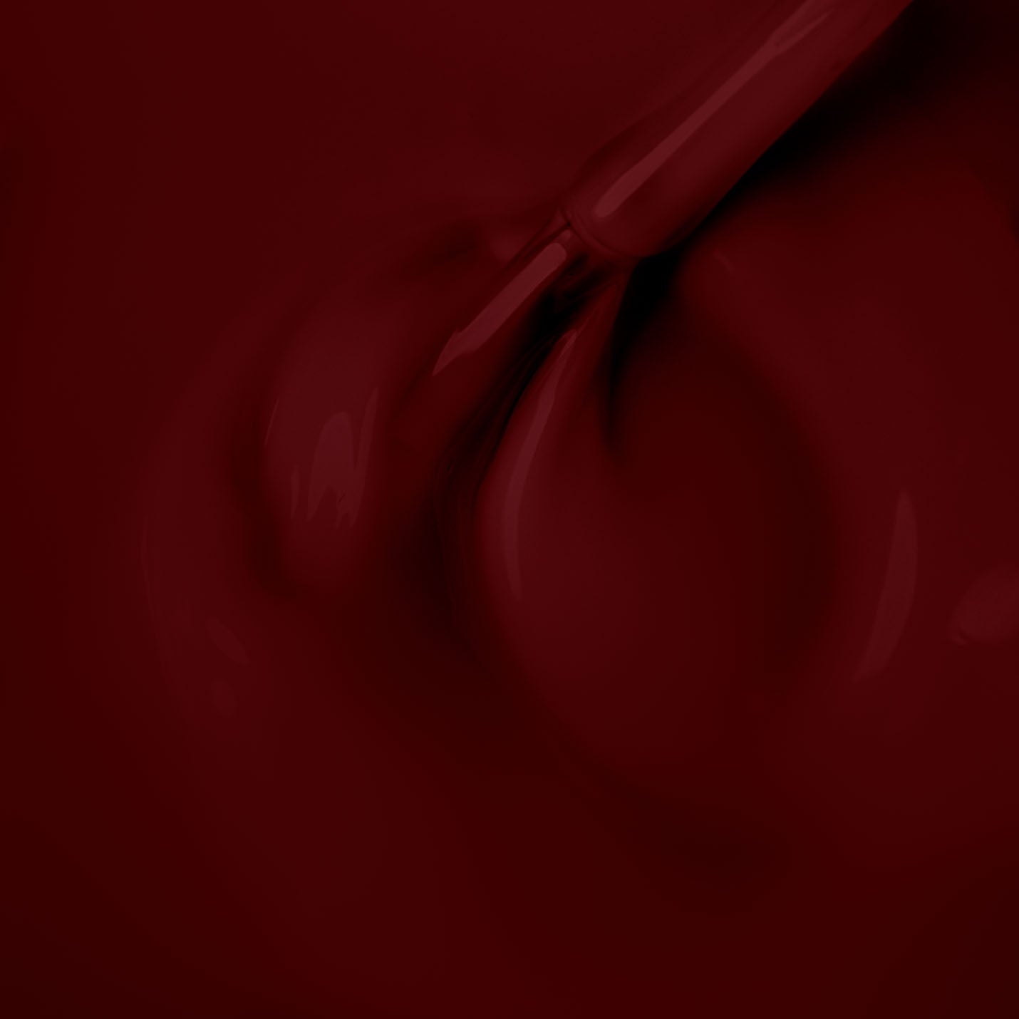 Salsa