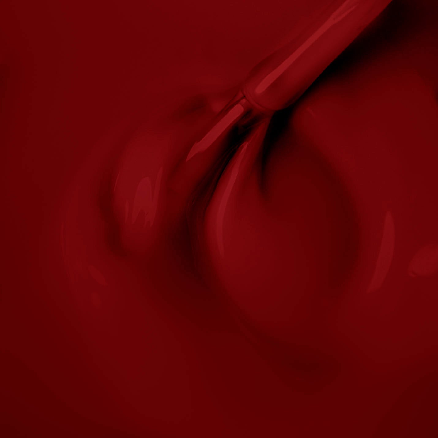 Salsa